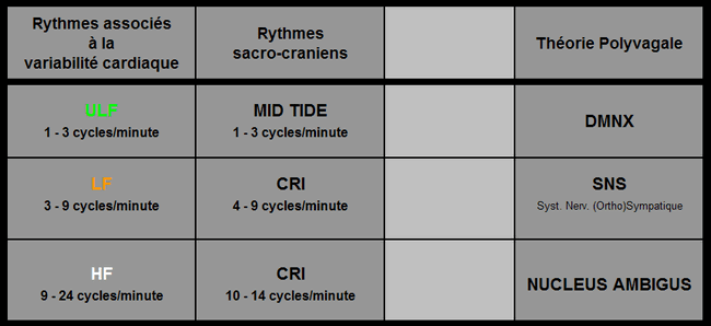 CARDIO OSTEO POLYVAGAL